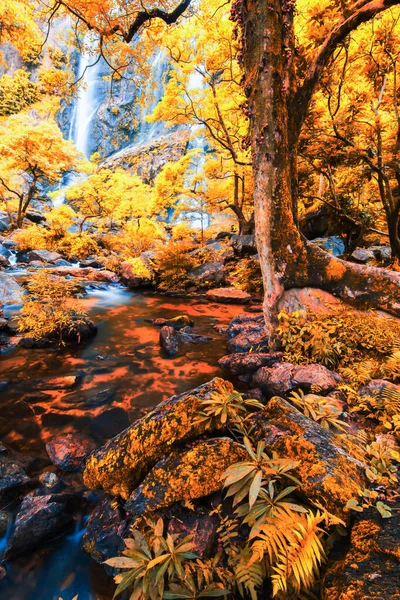 Heller Wasserfall Einem Bunten Wald Laub Und Feigen Vordergrund — Stockfoto