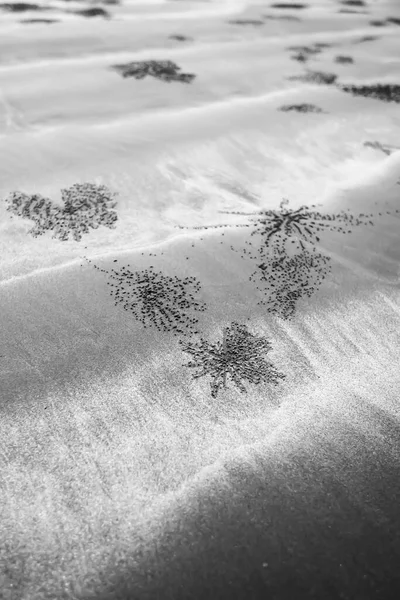 Абстрактная Нора Призрачных Крабов Песчаном Пляже Наземное Песчаное Искусство Крабов — стоковое фото