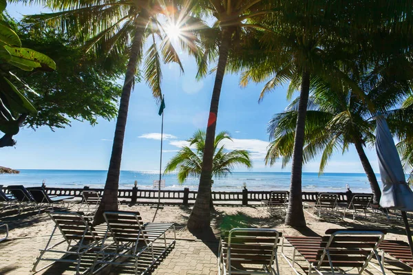 Tayland 'daki Coronavirus salgını sırasında güneşli yaz mevsiminde boş Palm Beach.