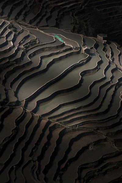 Superbe Vue Aérienne Sur Les Terrasses Riz Yuanyang Lever Soleil — Photo