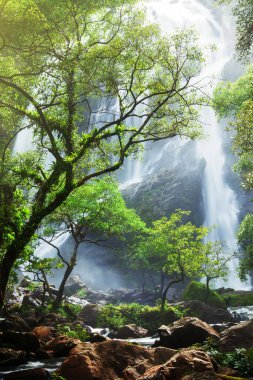 Güneş doğarken muhteşem tropik şelale, verimli tropikal bitkiler ve incir ağaçları. Khlong Lan Ulusal Parkı, Tayland. Uzun pozlama.