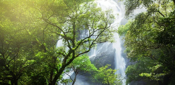 Wunderschöner Tropischer Wasserfall Bei Sonnenaufgang Üppige Tropische Pflanzen Und Feigenbäume — Stockfoto