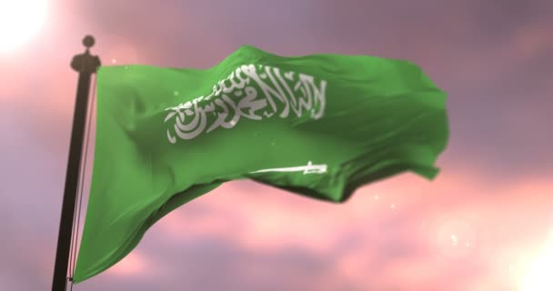 ループで遅いで手を振るサウジアラビアの旗風に — ストック動画