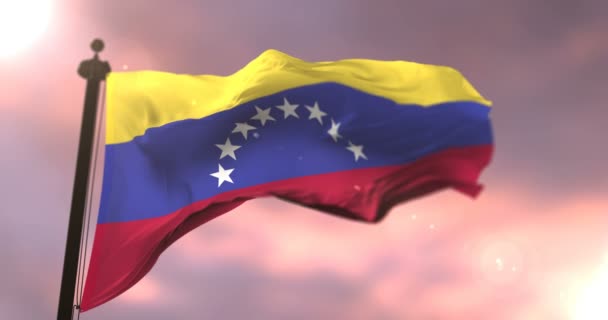 Venezuela Vlag Zwaaien Wind Het Langzaam Zonsondergang Lus — Stockvideo