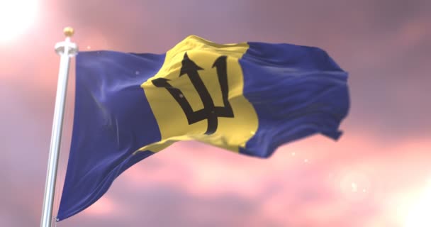 Barbados Vlag Zwaaien Wind Bij Zonsondergang Lus — Stockvideo