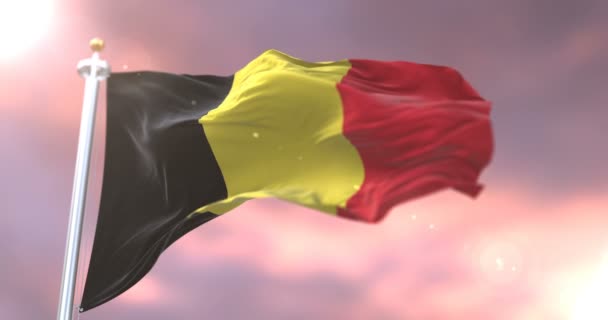 比利时国旗在风中挥舞着缓慢的日落 — 图库视频影像