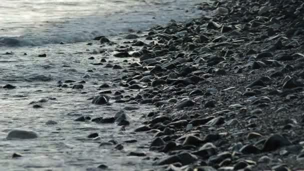 Strand Mit Meereswellen Die Steine Und Kieselsteine Ufer Bei Sonnenuntergang — Stockvideo