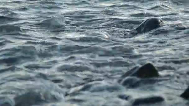 黄昏时海浪沐浴的鹅卵石和石头 — 图库视频影像