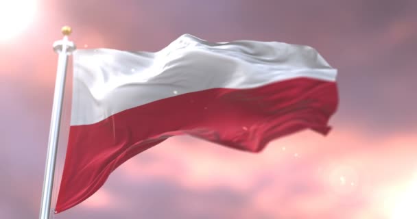 Bandera Polonia Ondeando Viento Atardecer Bucle Lento — Vídeo de stock