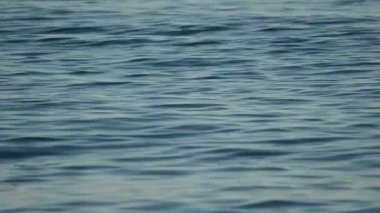 Dalgalar sakin denizde akan mavi deniz