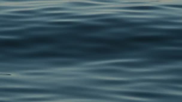 Des vagues de mer bleue coulant et passant dans une mer calme 