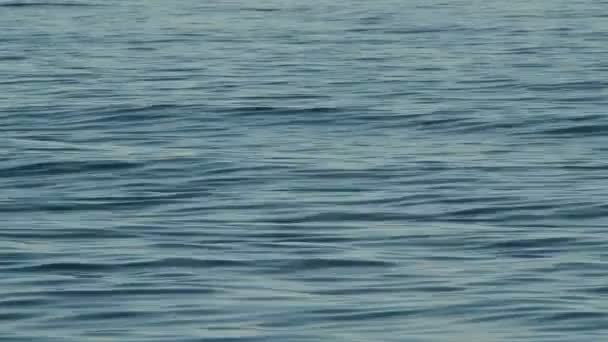 Vagues de mer bleues coulant dans une mer calme au coucher du soleil 