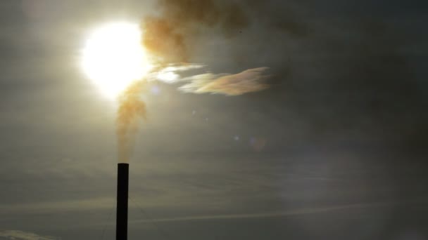 Torre Chaminé Industrial Expelindo Fumaça Poluição Planta Industrial Pôr Sol — Vídeo de Stock