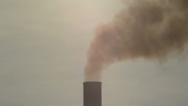 Torre Chimenea Industrial Que Exhala Humo Contaminación Atardecer Planta Industrial — Vídeo de stock