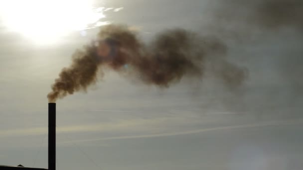 Průmyslové Komín Věž Vydechování Kouře Průmyslových Celků Při Západu Slunce — Stock video