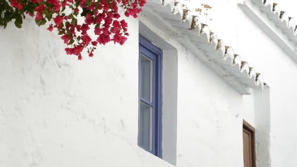Okno Typowe Andaluzyjskie Bielone Domu Czerwonych Kwiatów Ścianie — Wideo stockowe