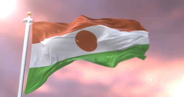Bandera Níger Ondeando Viento Lentamente Atardecer Bucle — Vídeos de Stock