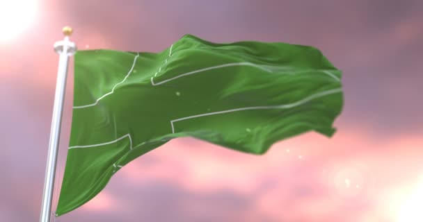 Ladonia 的旗帜在黄昏的风中挥舞着缓慢 — 图库视频影像