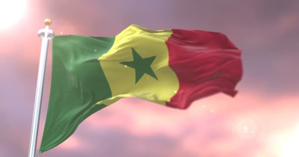 Vlag Van Senegal Zwaaien Wind Het Langzaam Zonsondergang Lus — Stockvideo