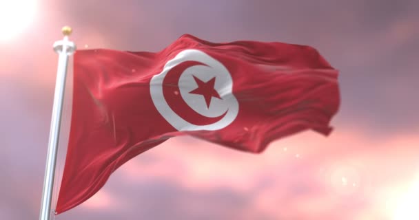 突尼斯国旗在风中挥舞在缓慢的日落 — 图库视频影像