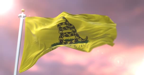 Don Tread Gadsden Flag Waving Wind Slow Sunset Loop — Stock Video