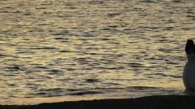 Yeni evli çift sahil üzerinde günbatımında yürüyüş