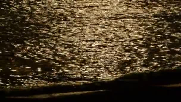 Puesta Sol Orilla Del Mar Con Reflejos Sol Dorado Sobre — Vídeos de Stock