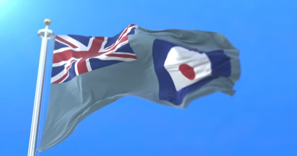 Flagga Royal Air Force Viftande Vinden Loop — Stockvideo