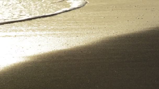 白砂のビーチ 夕焼けの海の波と — ストック動画