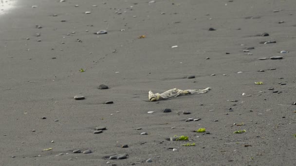 Пластик Песке Пляжа Закате — стоковое видео