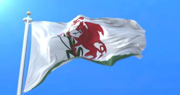 Σημαία Της Ουαλική Πόλη Και Πρωτεύουσα Της Ουαλίας Cardiff Ηνωμένο — Αρχείο Βίντεο