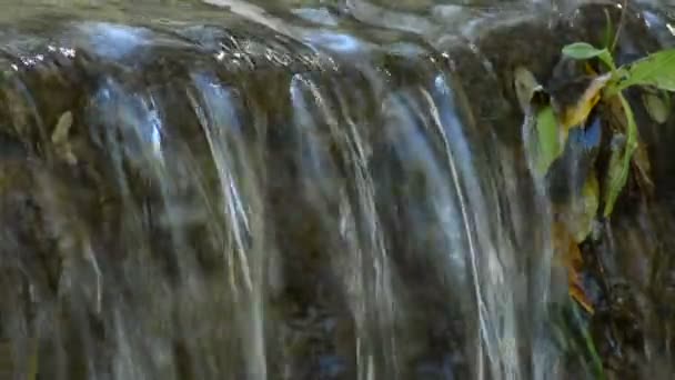 Pure Bergwater Uitgevoerd Een Kleine Waterval — Stockvideo