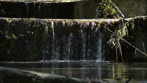 Eau Pure Montagne Coule Dans Une Petite Cascade Une Journée — Video