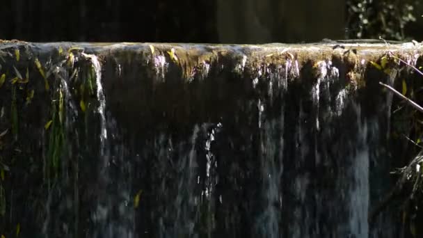 Acqua Montagna Che Scorre Una Piccola Cascata — Video Stock