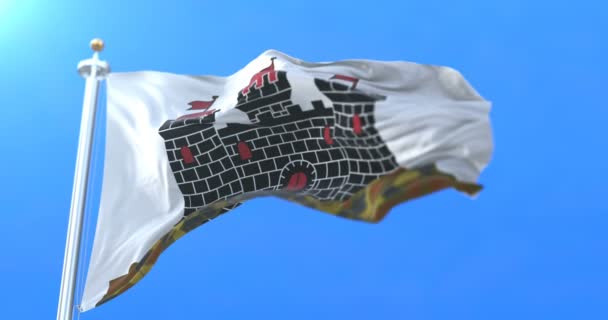 エジンバラ スコットランドの首都都市の旗 ループ — ストック動画