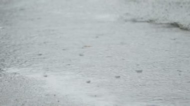 Yağmur günde bir su birikintisi içinde düşen yağmur damlaları