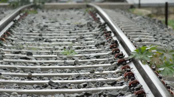 Sporen Van Een Trein Een Regenachtige Dag — Stockvideo