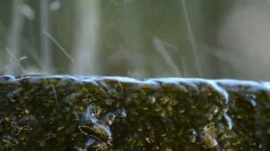 Bir taş çeşme, ayrıntı düşen su