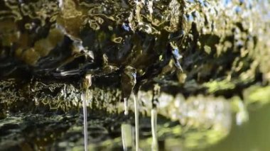 Su taş çeşmeden ayrıntı kayar