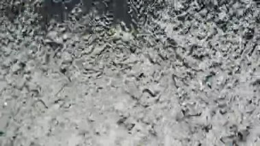 Bir camdan düşen su sel