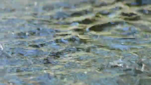 Druppels Water Vallen Het Water Van Een Plas Een Fontein — Stockvideo