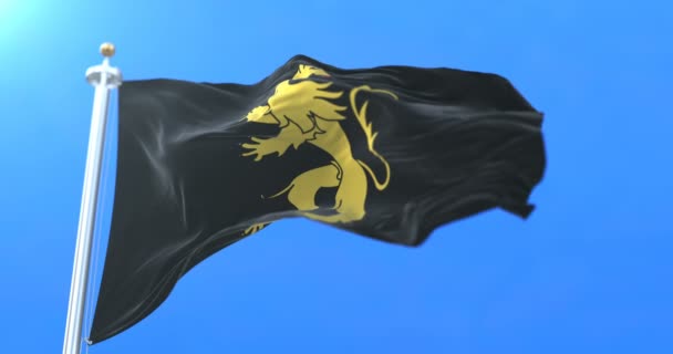 Flaga Walii Hrabstwie Ceredigion Walii Pętla — Wideo stockowe
