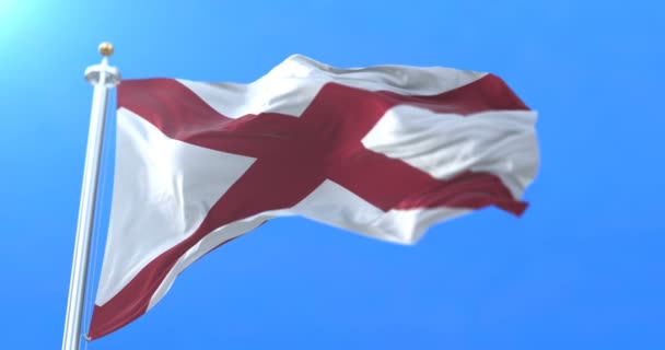 爱尔兰圣帕特里克的萨尔蒂的旗帜 — 图库视频影像