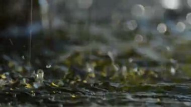 Ortak bir havuza düşen su, yakın çekim