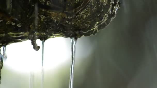 Капли Воды Падают Древний Каменный Фонтан — стоковое видео