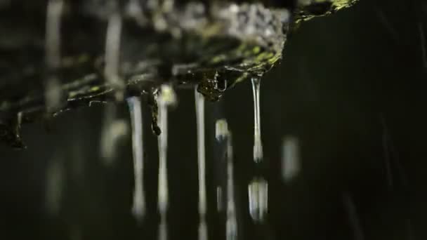 在背光的古老岩石喷泉中 水掉落和溢出 — 图库视频影像