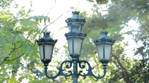 Oude Klassieke Knippen Lamp Met Vier Armen — Stockvideo