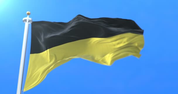 Σημαία Του Ομόσπονδου Κράτους Της Βάδης Wrttemberg Στη Γερμανία Βρόχου — Αρχείο Βίντεο