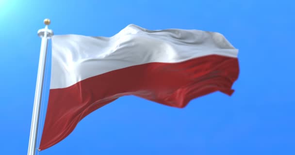 Vlajka Federální Svobodného Státu Durynsko Německu Smyčka — Stock video