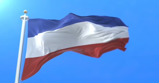 Флаг Федерального Государства Шлезвиг Гольштейн Германии Петля — стоковое видео